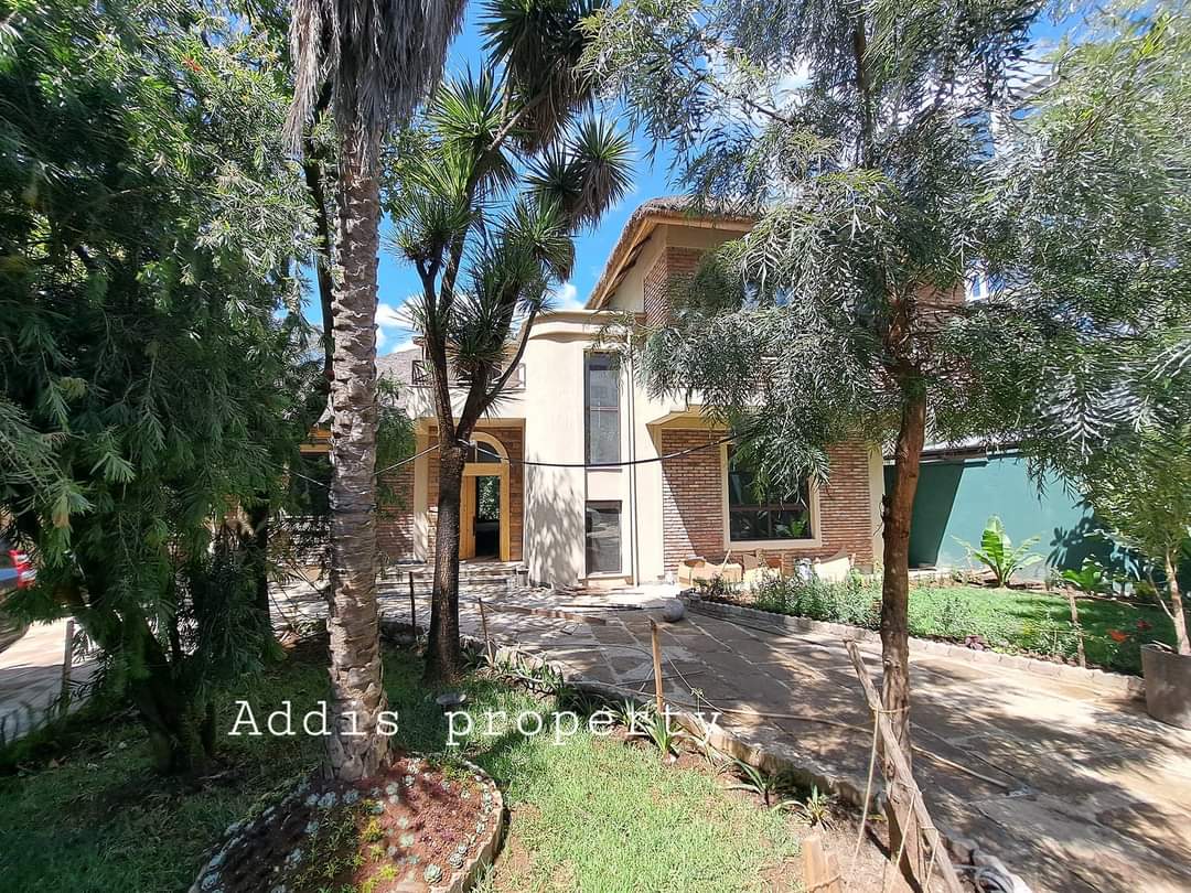 FB_IMG_1701952726018