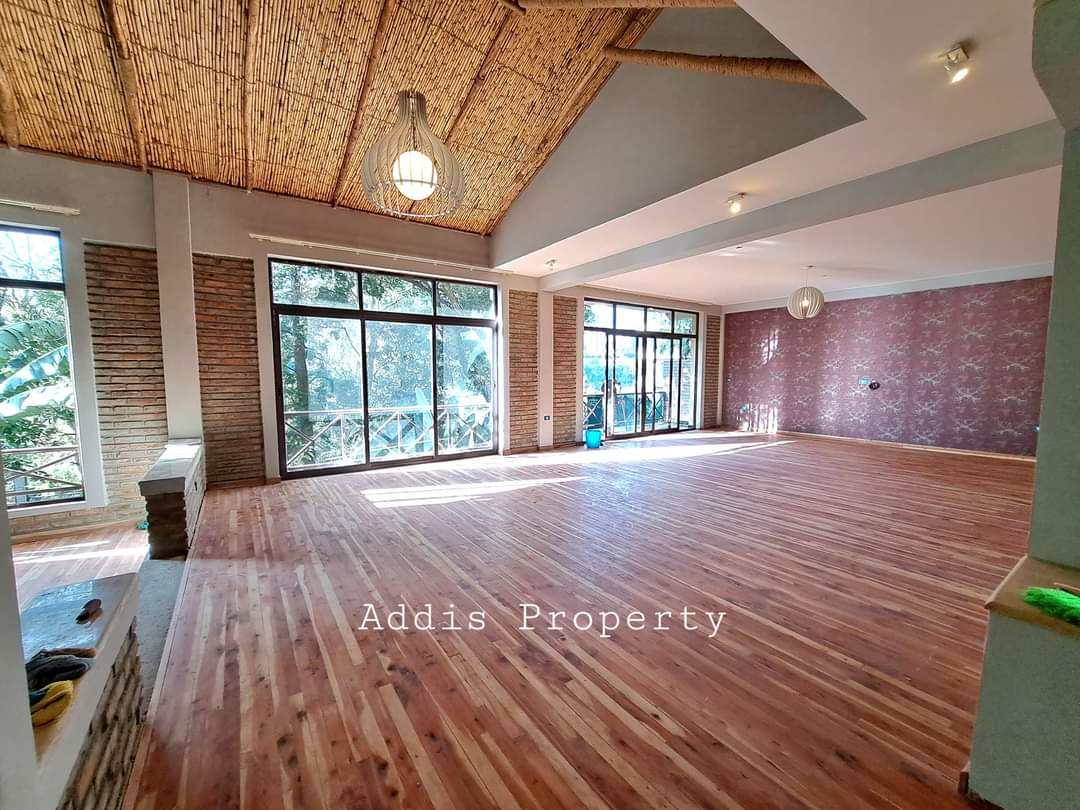 FB_IMG_1701952731327