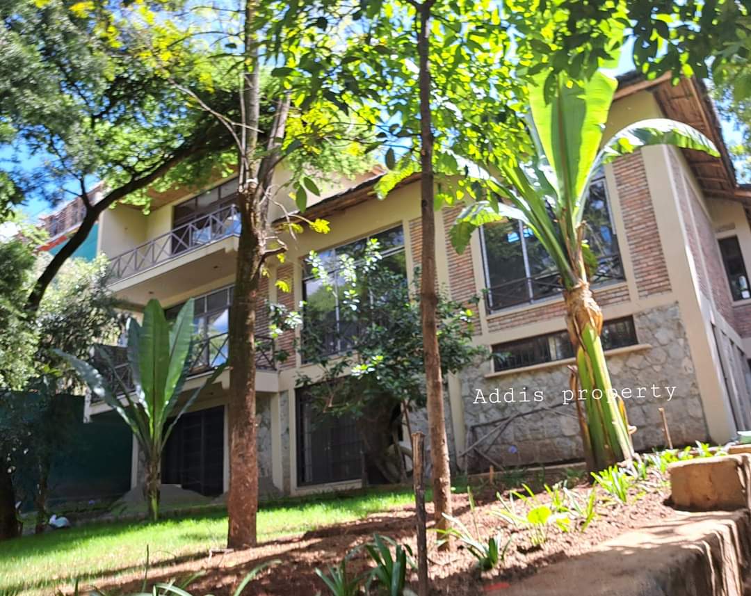 FB_IMG_1701952735793