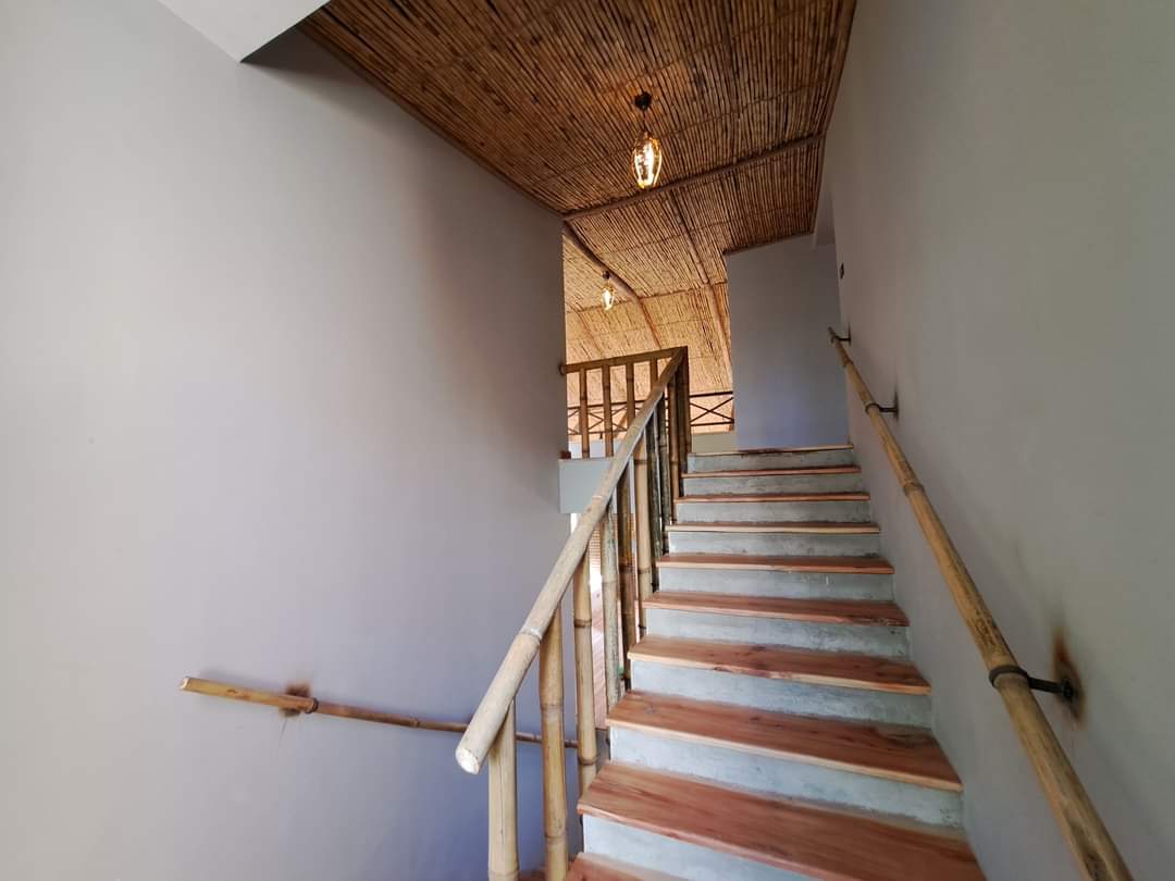 FB_IMG_1701952747403