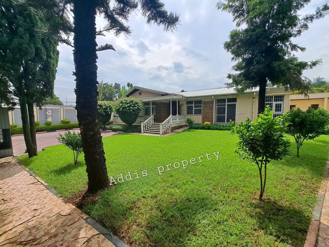 FB_IMG_1723305045988