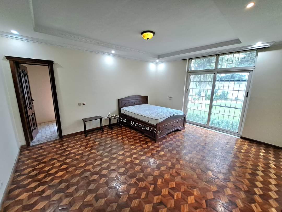 FB_IMG_1723305053090