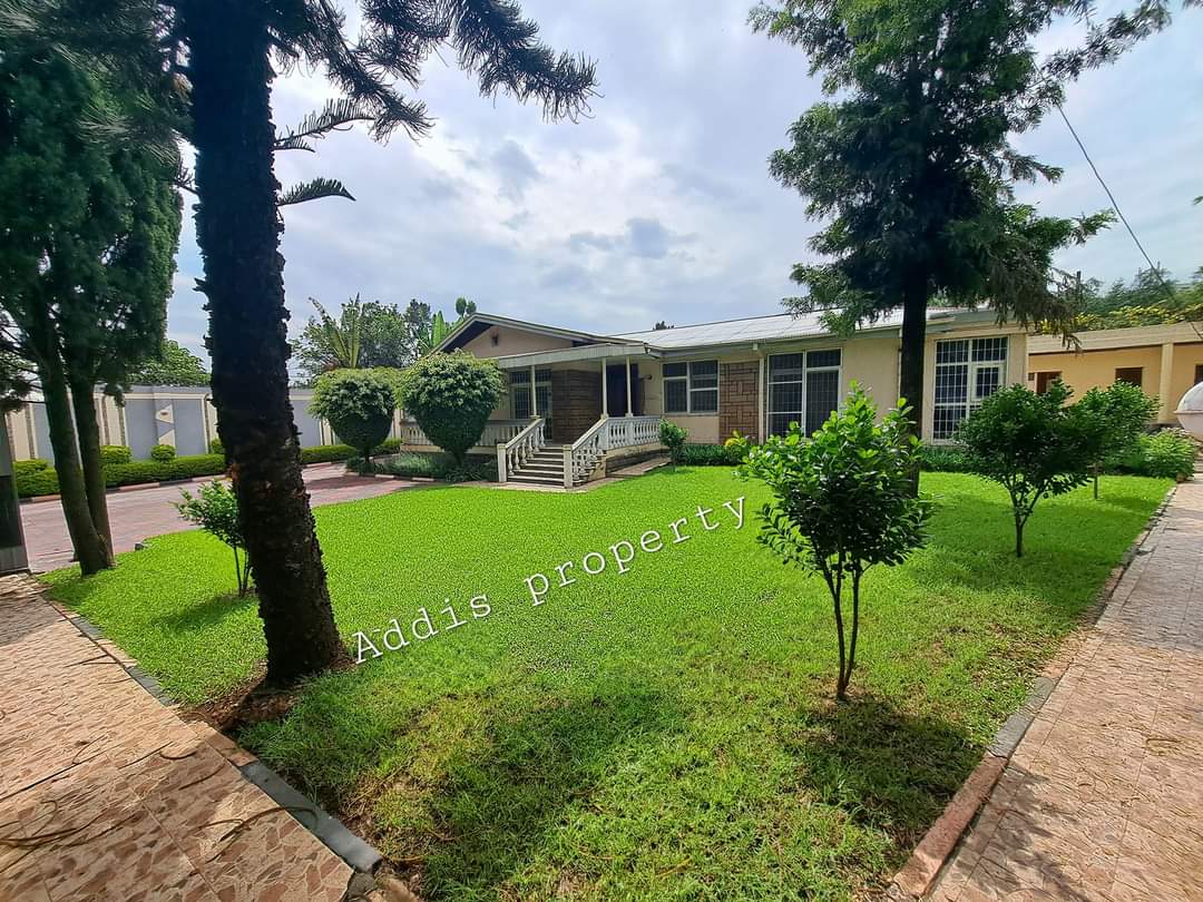 FB_IMG_1723305055274